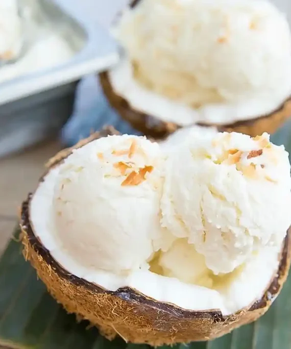 IBT Pure Coconut Powder